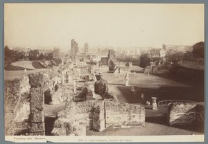 Ruinas de los Palacios Imperiales en la Colina Palatina en Roma Aedes Pubblica, Palazzo dei Cesari (título sobre el objeto) de Ludovico Tuminello