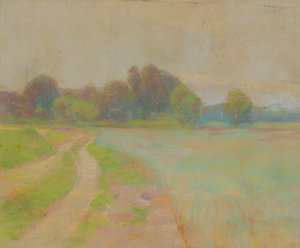 Camino junto a un campo