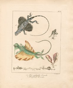  de Ludwig Christoph Tyroff
