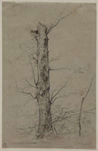 Tree de Ludwig Ferdinand Schnorr von Carolsfeld
