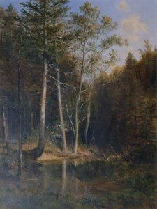 Área forestal en la montaña de la corte cerca de Kaumberg de Ludwig Halauska