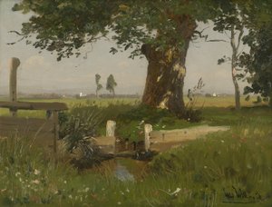 Veraniego paisaje de prados en Carintia