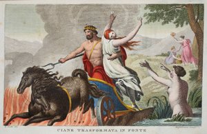 Ciane y el Rapto de Proserpina o Ciane Transformada en Fuente, Libro V, ilustración de las Metamorfosis de Ovidio, Florencia, 1832