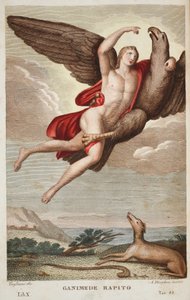 Ganimedes llevado al cielo o Ganimede Rapito, Libro X, ilustración de 