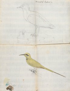 2 pájaros "Aroust el Bahar"