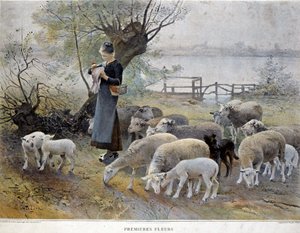 Primeras flores: Una pastora rodeada de sus ovejas se pone flores en el sombrero - por Chialiva de Luigi Chialiva