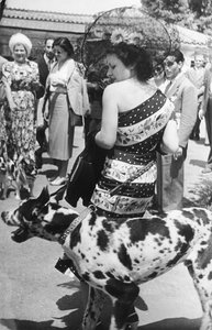 Retrato de una señora con un gran danés de Luigi Leoni