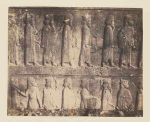 Vista 13 - Persépolis. Relieve del Apadana