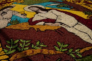 Alfombra de flores de Semana Santa, Surco, Lima, Perú, 2015