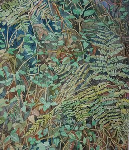 Helechos del frondoso bosque de Luisa Millicent