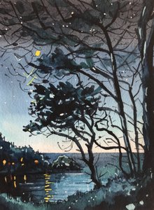 Reflejos de una noche mágica de Luisa Millicent