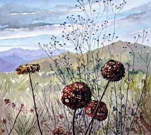 Flores silvestres y montañas de Luisa Millicent