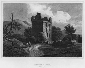Castillo de Newark, Selkirkshire