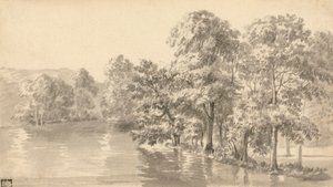 Árboles junto a un lago