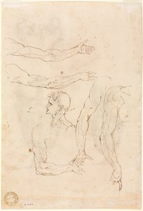 Bocetos de Cinco Brazos y una Cabeza (verso) de Luzio Romano