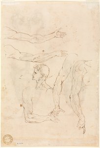 Bocetos de Cinco Brazos y una Cabeza verso, mediados de 1500 de Luzio Romano