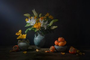  de Lydia Jacobs