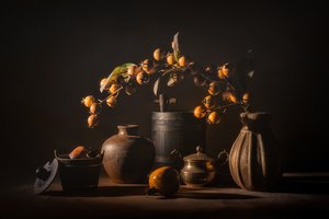  de Lydia Jacobs