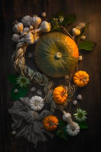  de Lydia Jacobs