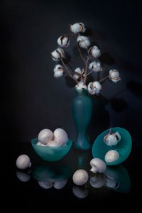 Naturaleza muerta con algodón y setas de Lydia Jacobs