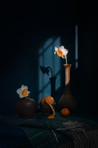  de Lydia Jacobs