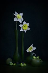  de Lydia Jacobs