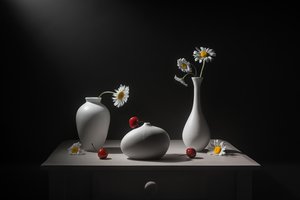  de Lydia Jacobs