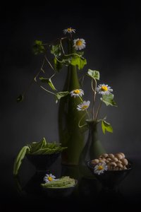  de Lydia Jacobs