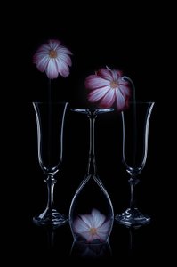  de Lydia Jacobs