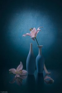  de Lydia Jacobs