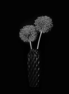Elegante jarrón con forma de diente de león de Lydia Jacobs