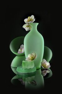 Elegante diseño floral en verde de Lydia Jacobs