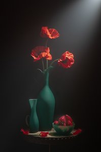  de Lydia Jacobs