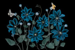  de Lydia Jacobs