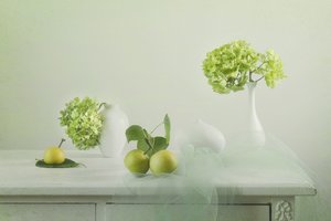 Naturaleza muerta con verduras frescas de Lydia Jacobs