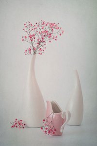  de Lydia Jacobs