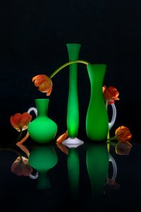  de Lydia Jacobs