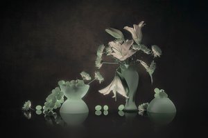  de Lydia Jacobs