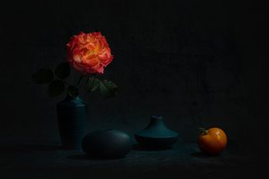  de Lydia Jacobs
