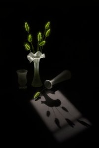  de Lydia Jacobs