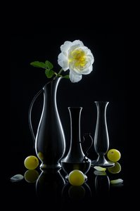  de Lydia Jacobs