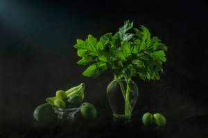 Naturaleza muerta botánica exuberante de Lydia Jacobs
