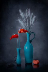  de Lydia Jacobs