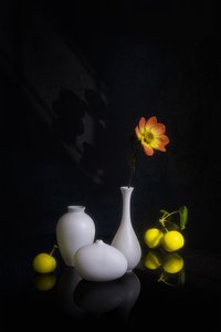  de Lydia Jacobs