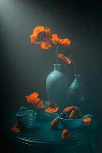  de Lydia Jacobs