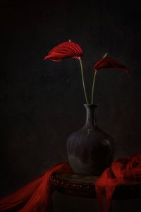  de Lydia Jacobs