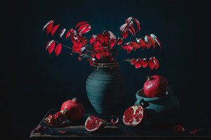  de Lydia Jacobs