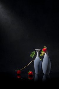  de Lydia Jacobs
