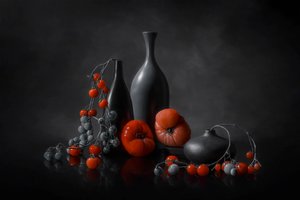  de Lydia Jacobs