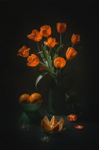  de Lydia Jacobs